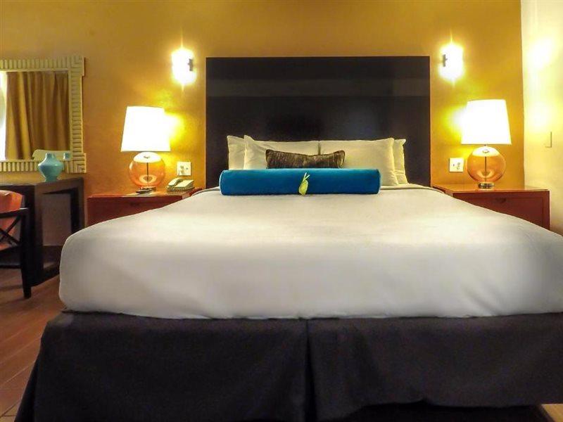 Adara Palm Springs 모텔 외부 사진